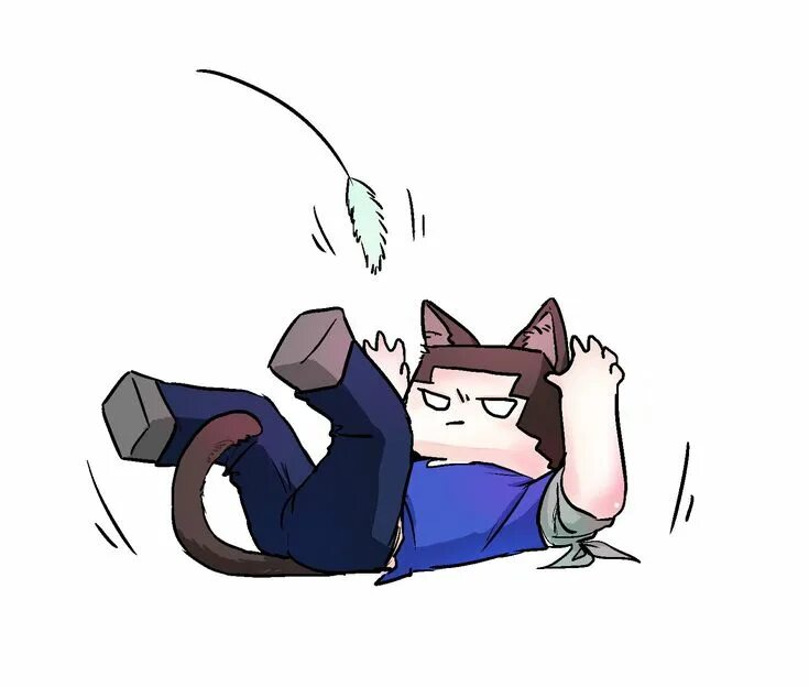 Steve cat. Steve cat