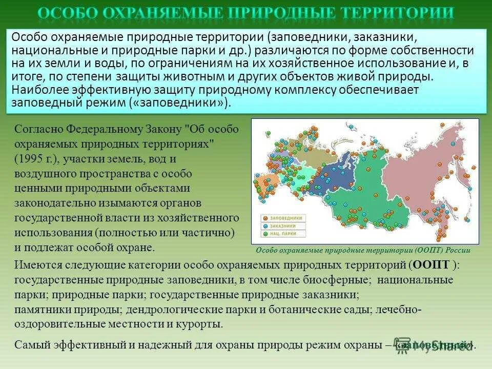 Охраняемые природные территории и объекты россии. Территория заповедника. Охраняемые природные территории РФ. Охраняемые природные территории заповедники. Национальные парки ООПТ.