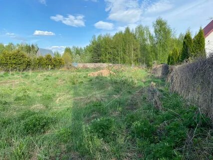 Курово дмитровский