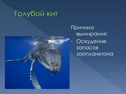 Почему сообщение синее