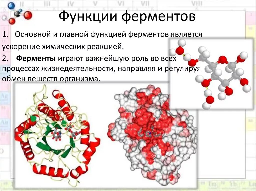 Укажите функцию ферментов. Основные функции ферментов в организме. Биологические функции ферментов. Биохимическая роль ферментов.