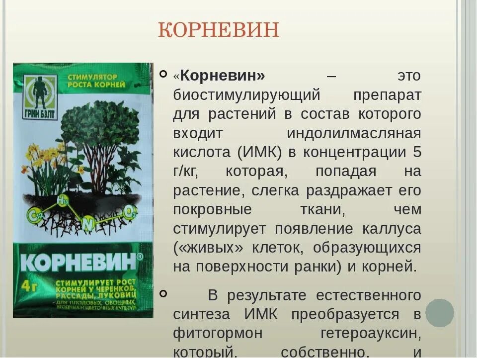 Корневин как применять