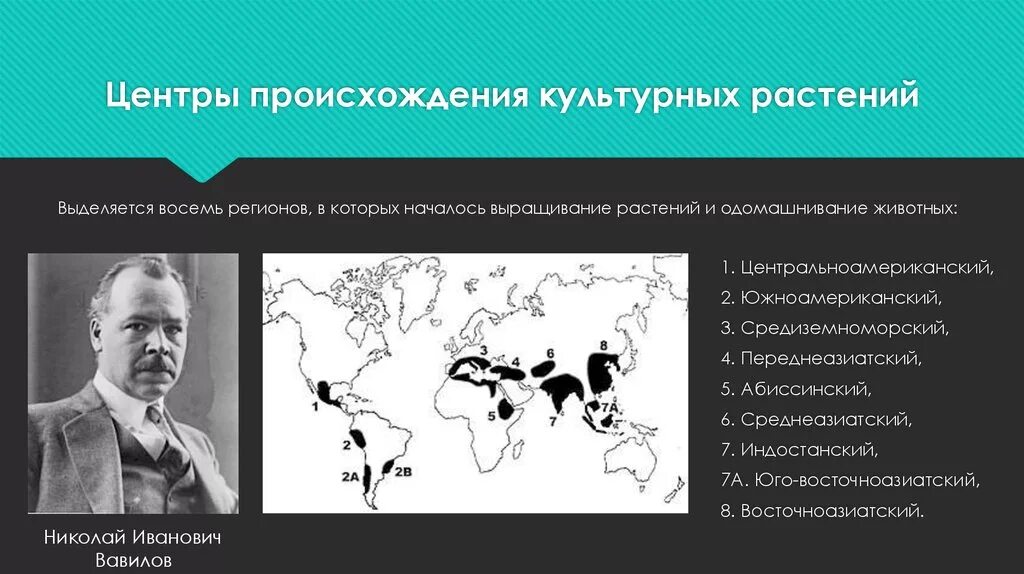 Карта Вавилова центры происхождения культурных растений. Центр происхождения растений Вавилова. Вавилов 7 центров происхождения культурных растений. Таблица Вавилова центры происхождения культурных растений.