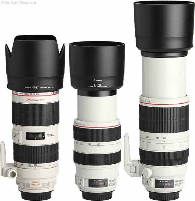 Canon EF 100-400mm f/4.5-5.6l is II USM. Canon 100-400mm f/4.5-5.6l is II USM. Canon 100-400. Canon EF 100-400mm.