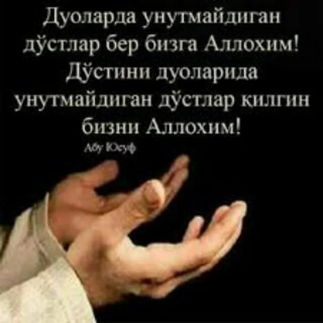 Роббим оллохим. Картинка do'stlik. Дустлар бир. Статуслар хаёт хакида. Хамён.