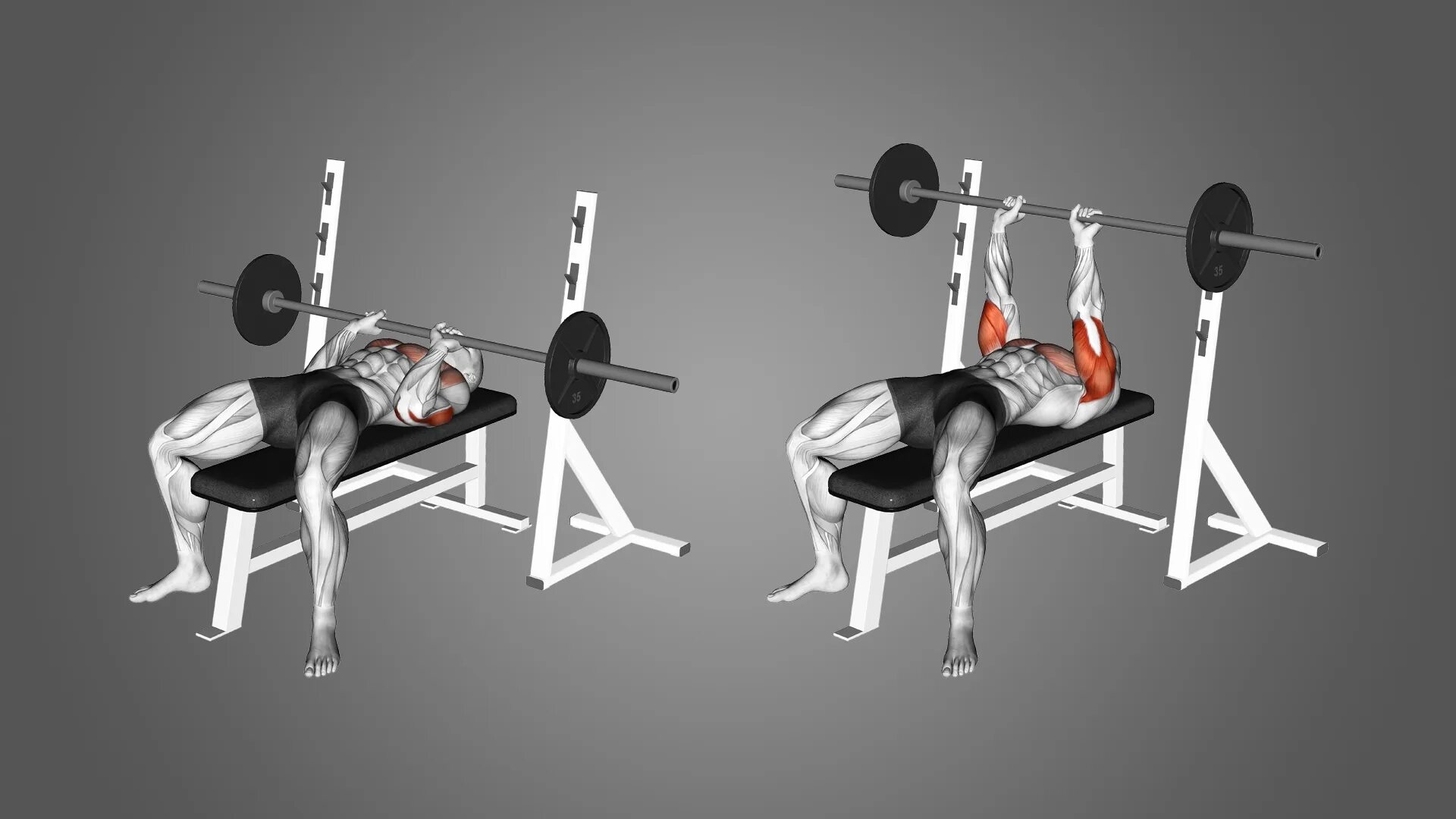 Жим узким хватом техника выполнения. Close Grip Barbell Bench. Close_Grip_Barbell_Bench_Press. Жим узким хватом. Жим штанги на трицепс.
