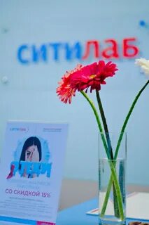 Ситилаб брянск телефон
