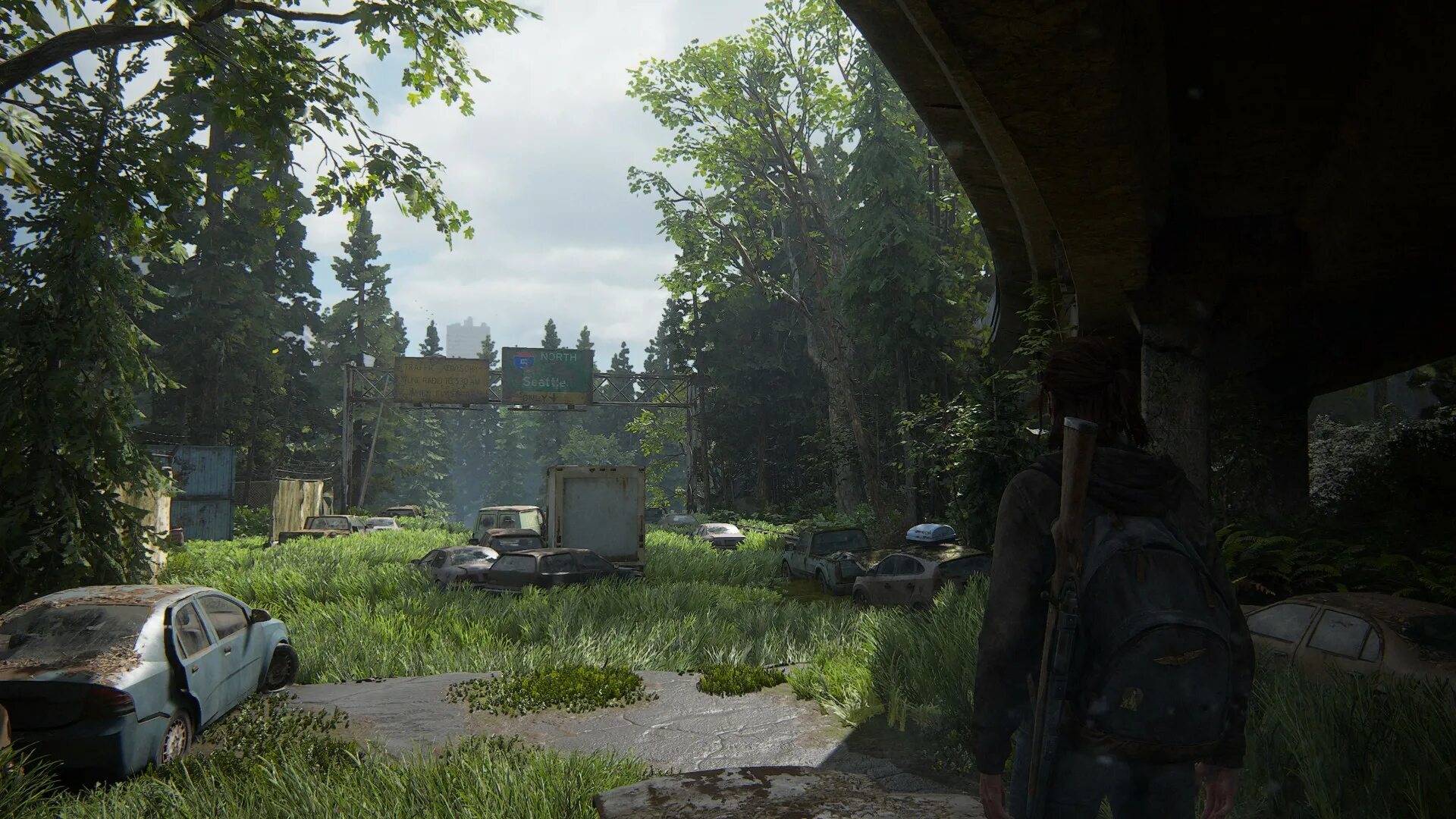 The last of us локации. Одни из нас 2 город. Last of us поселения.