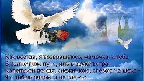 Память сына день рождения