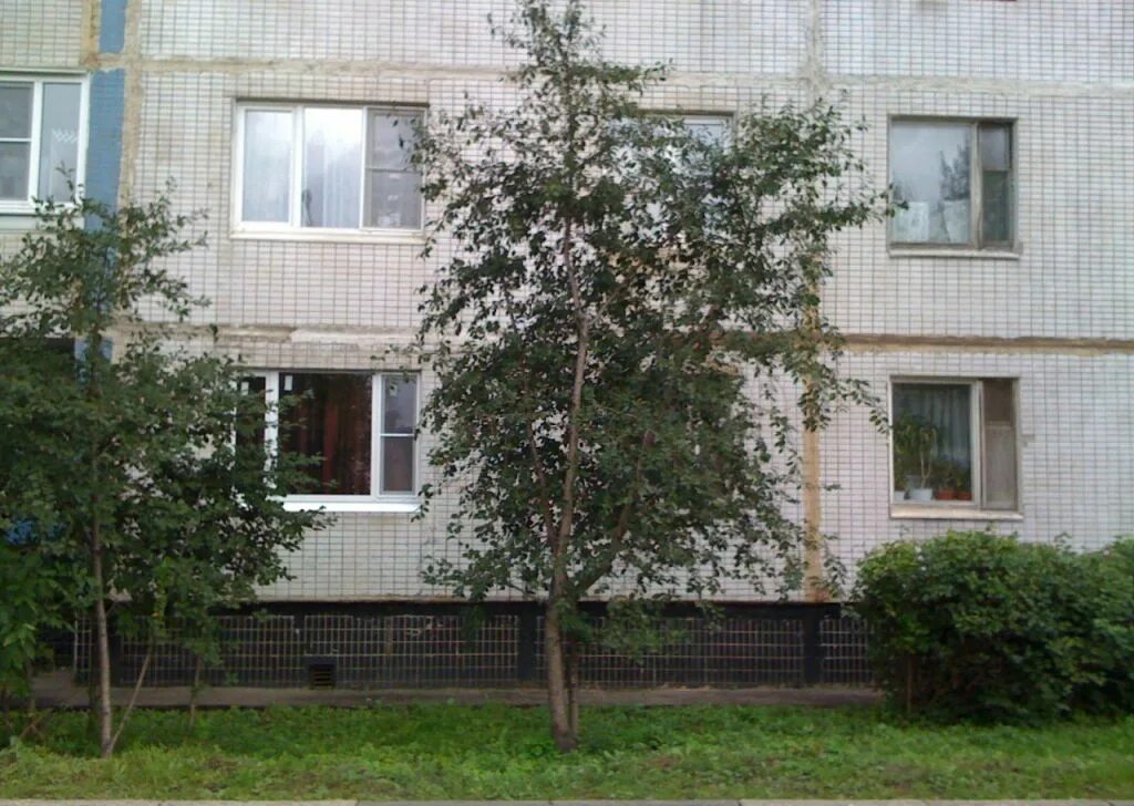 Кбо щербинка. Щербинка пушкинская, д. Пушкинская 4 щербинка. Пушкинская 4 щербинка. Пушкинская 4 щербинка.