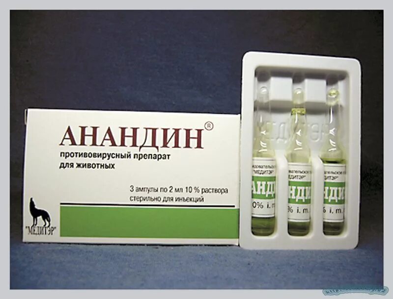 Уколы для животных. Анандин инъекционный 10% 10мл. анандин ветеринарный препарат. противовирусные препараты для животных. антибиотик в ампулах для кошек.