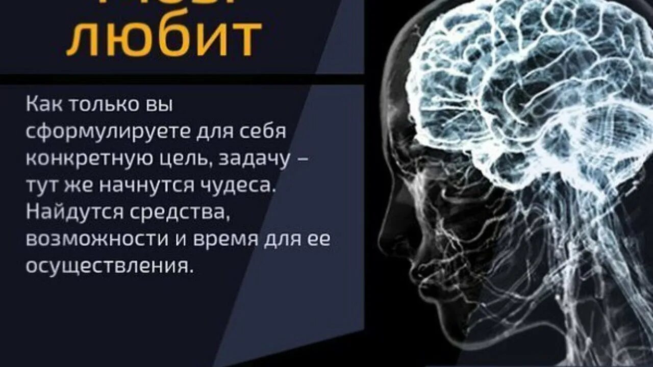 Цитаты про мозг. Что любит мозг. Интересные факты о мозге. Pro мозг. Новый образ жизни. Используйте свой мозг для изменений