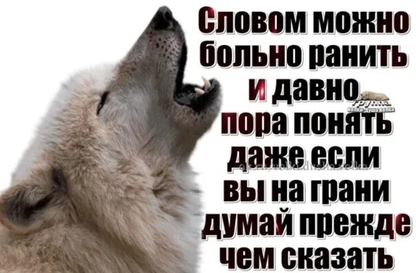 Часто бывает больно. Цитаты про обидные слова. Прежде чем сказать подумай. Думай прежде чем сказать цитаты. Не бросайтесь словами цитаты.