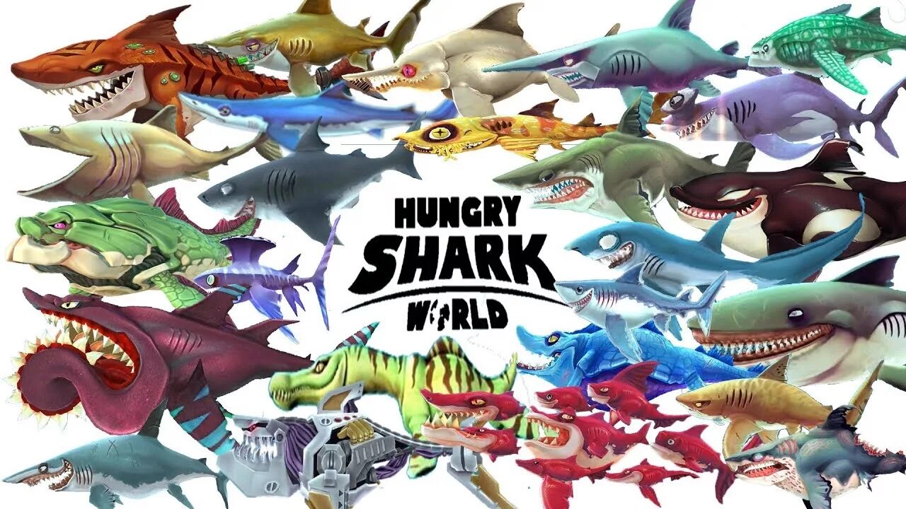 Hungry shark world взлоmанную. Акулы из hungry Shark. Торт Хангри Шарк. Акула из Хангри Шарк. Хангри Шарк ворлд акулы.