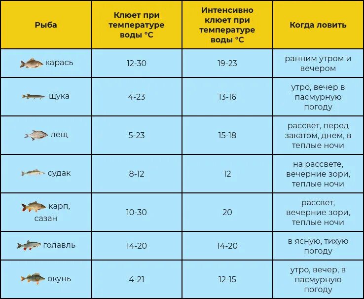 Клев после. Температура и рыбалка. Влияние давления на рыбу. Таблица температуры ловли рыбы. Влияние температуры воды на рыб.