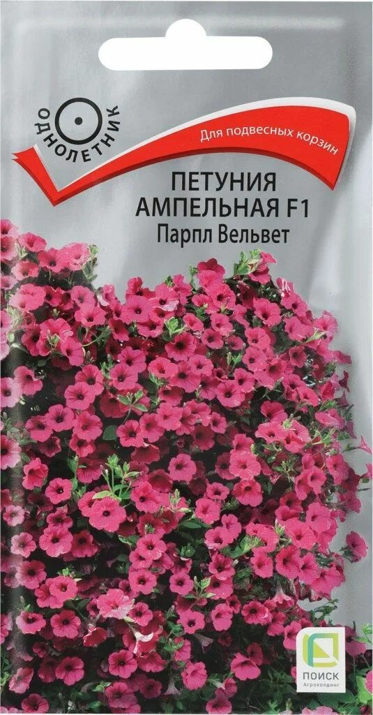 Петуния вельвет описание. Ред вельвет петуния. Петуния petunia mirage velvet. Сурфиния роуз вейн вельвет f1. Петуния хулахуп вельвет.