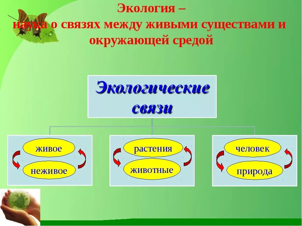 Группы экологических знаний. Примеры экологических связей. Экологические связи в природе. Истокологическая связь. Экологические связи 3 класс.