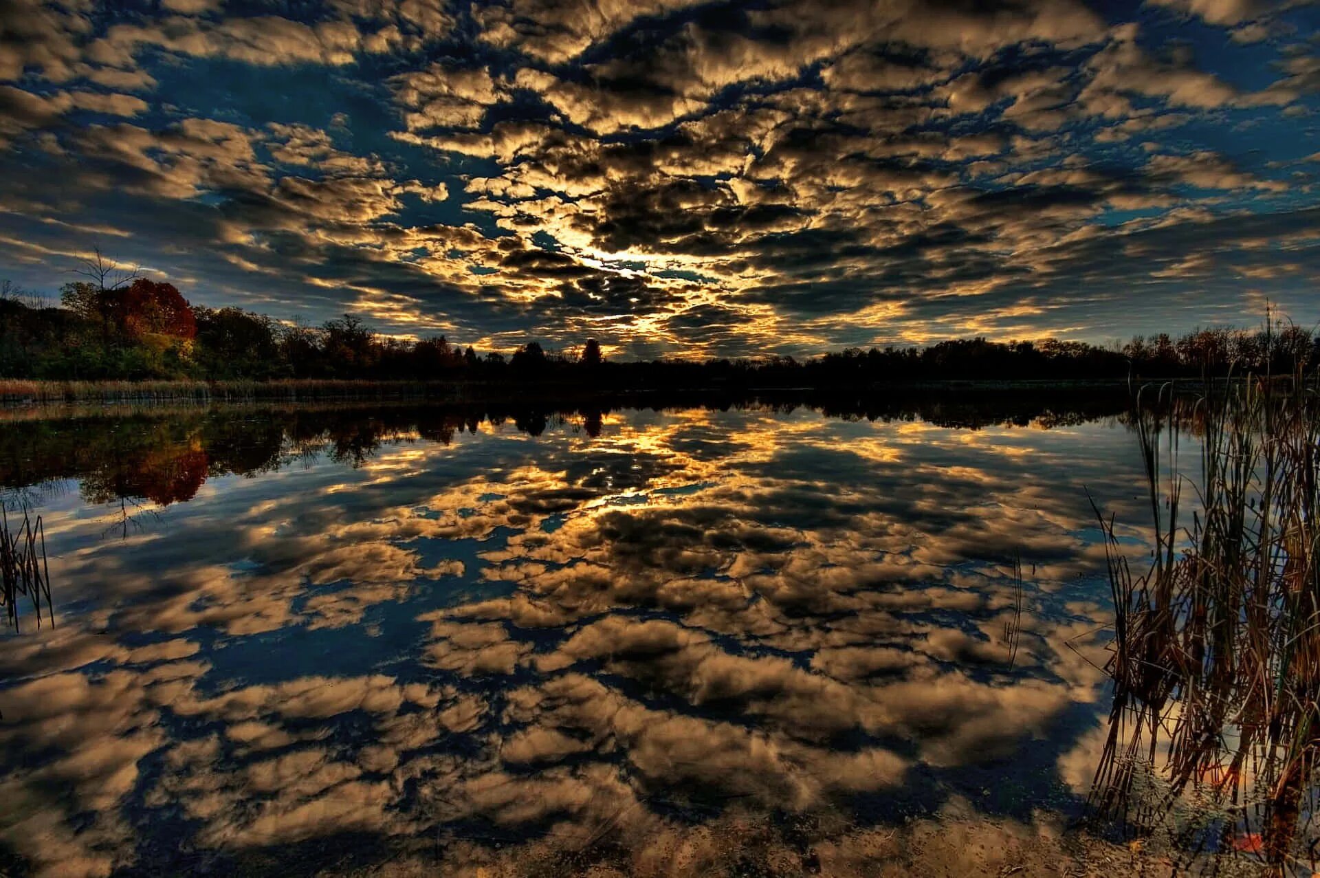 Отражение в воде. Природа. Профессиональные пейзажи. Отражение природы в воде.