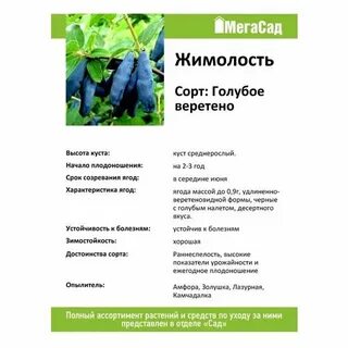 Сорта опылители жимолости