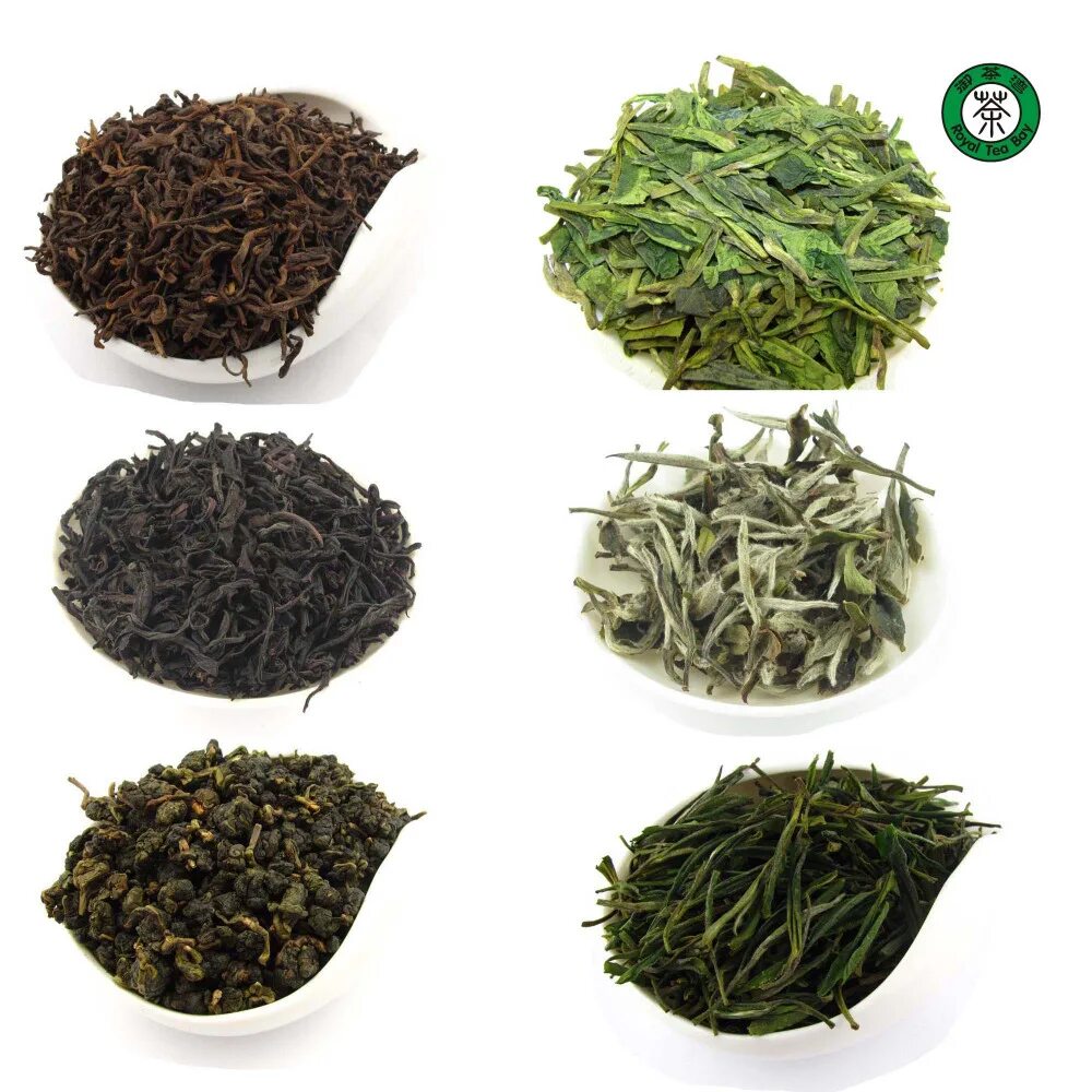 Ассортимент чая. Титестер профессия. Титестер дегустатор чая профессия. Титестер дегустатор чая. Сорта китайского чая.