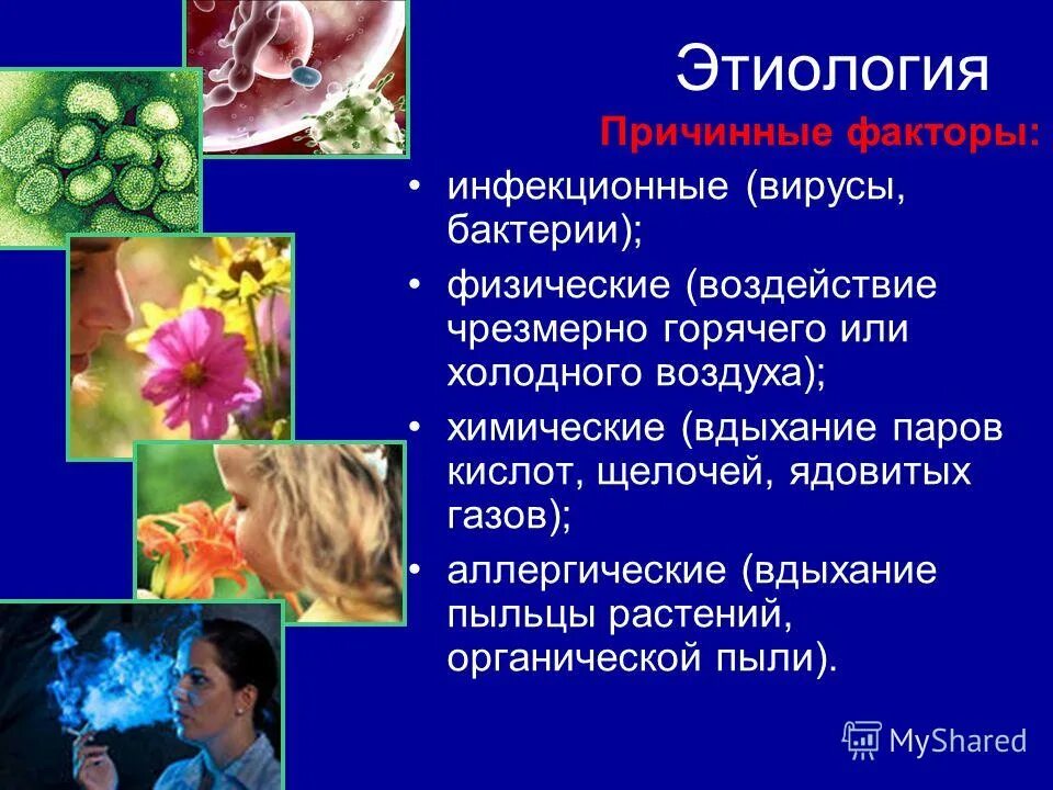 пыльца поллиноз тимофеевка. классификация аллергических реакций замедленного типа. вдыхание пыльцы растений приводит к развитию. осенне летний поллиноз. аллергический ринит, вызванный пыльцой растений.