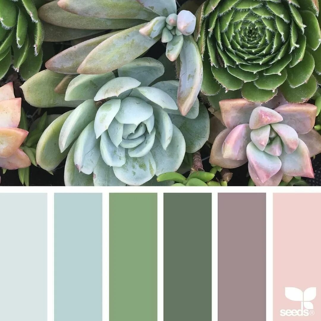 Серо зеленый цвет сочетается. Цветовая палитра колористика. seeds color palette изумрудный. колористика зеленый. серо зеленая палитра.