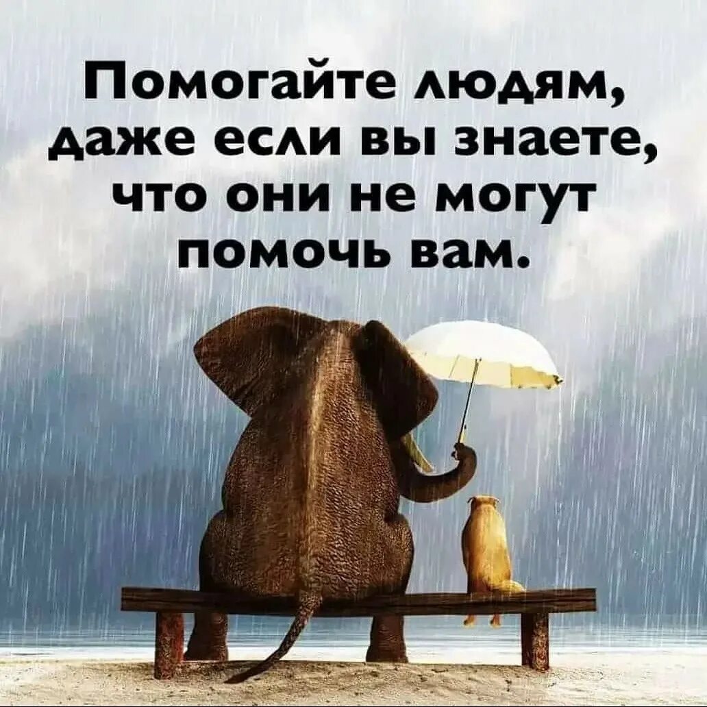 От судьбы не уйдешь цитаты. Добрые высказывания. Учись пока остальные спят. Нужные цитаты для жизни. Любить и не быть вместе цитаты.