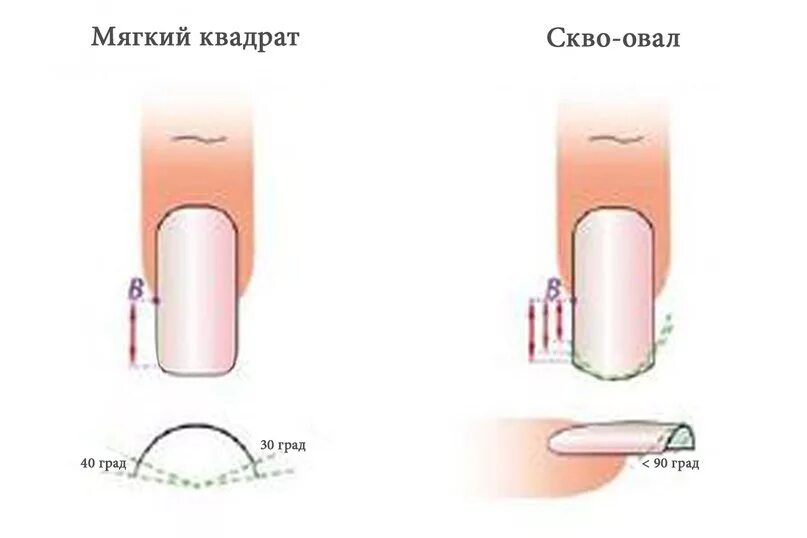 Форма ногтей сквоовал. Правильный опил формы ногтей овал. Схема опила формы ногтей квадрат мягкий. Опил формы овал схема. Опил формы ногтей мягкий квадрат.