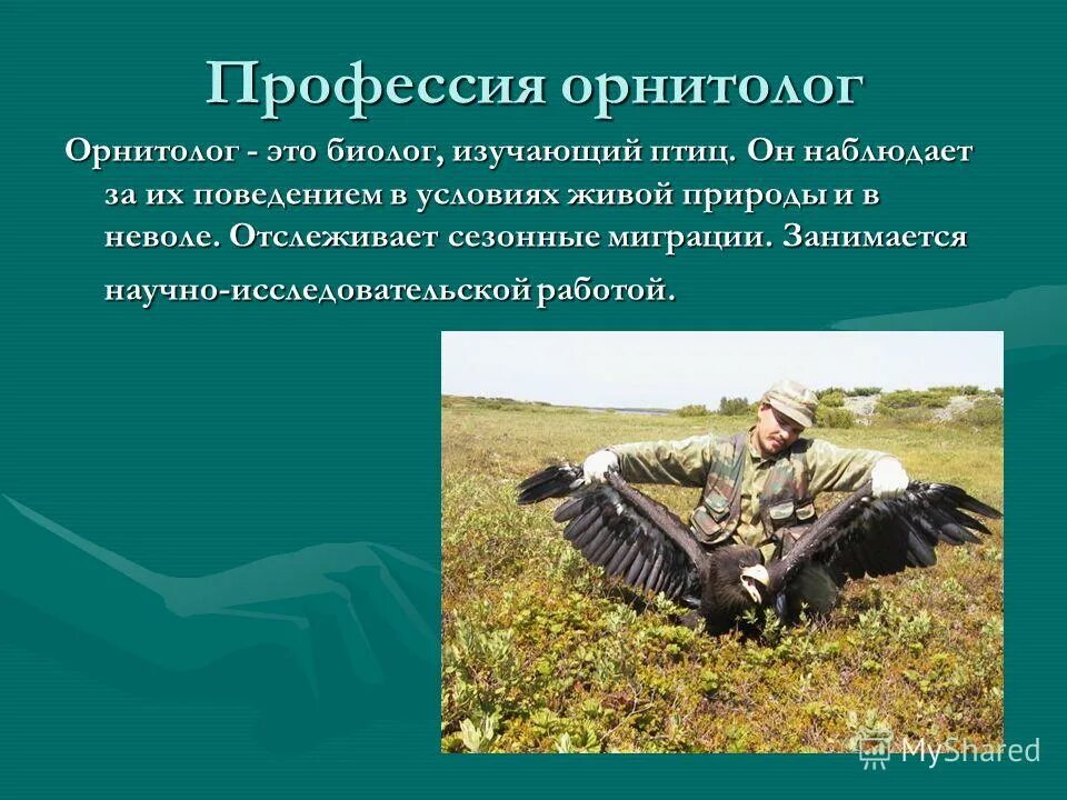 орнитолог профессия. биолог изучающий птиц. профессия биолог. биолог изучающий птиц. орнитолог.