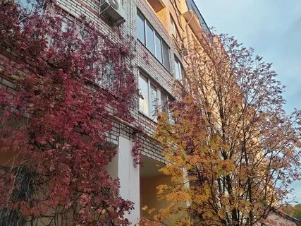 Погода калуга сентябрь 2024