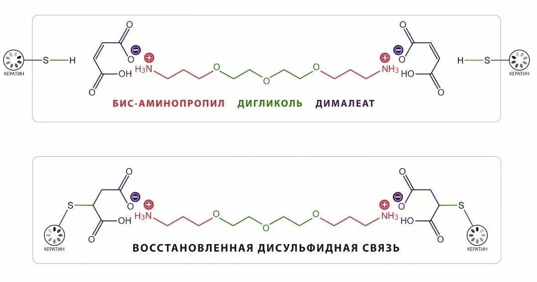 Образование дисульфидной связи. Дисульфидные связи. Дисульфидные связи в волосах. Разрыв дисульфидных связей. Восстановление дисульфидных связей в волосах.