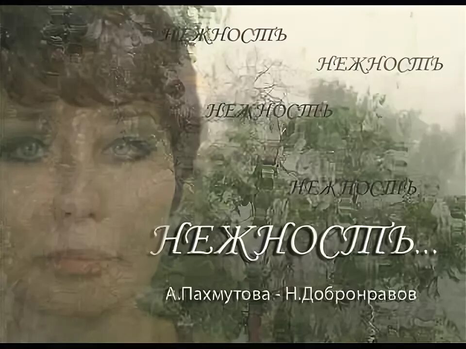 Нежность первый исполнитель. Пахмутова нежность. Пахмутова и Добронравов нежность. Нежность песня.