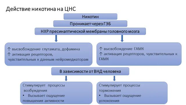 Эффекты никотина. Механизм действия никотина на организм. Действие никотина на организм. Механизм действия никотина. Токсическое действие никотина.