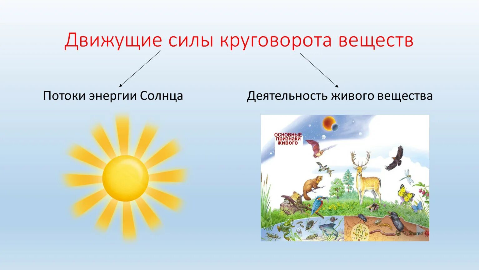 Круговорот веществ в природе 9 класс. Движущие силы круговорота веществ. Круговорот веществ в природе. Движущая сила биологического круговорота. Основные движущие силы круговорота веществ.