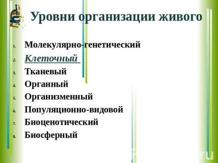 Психология организменный уровень