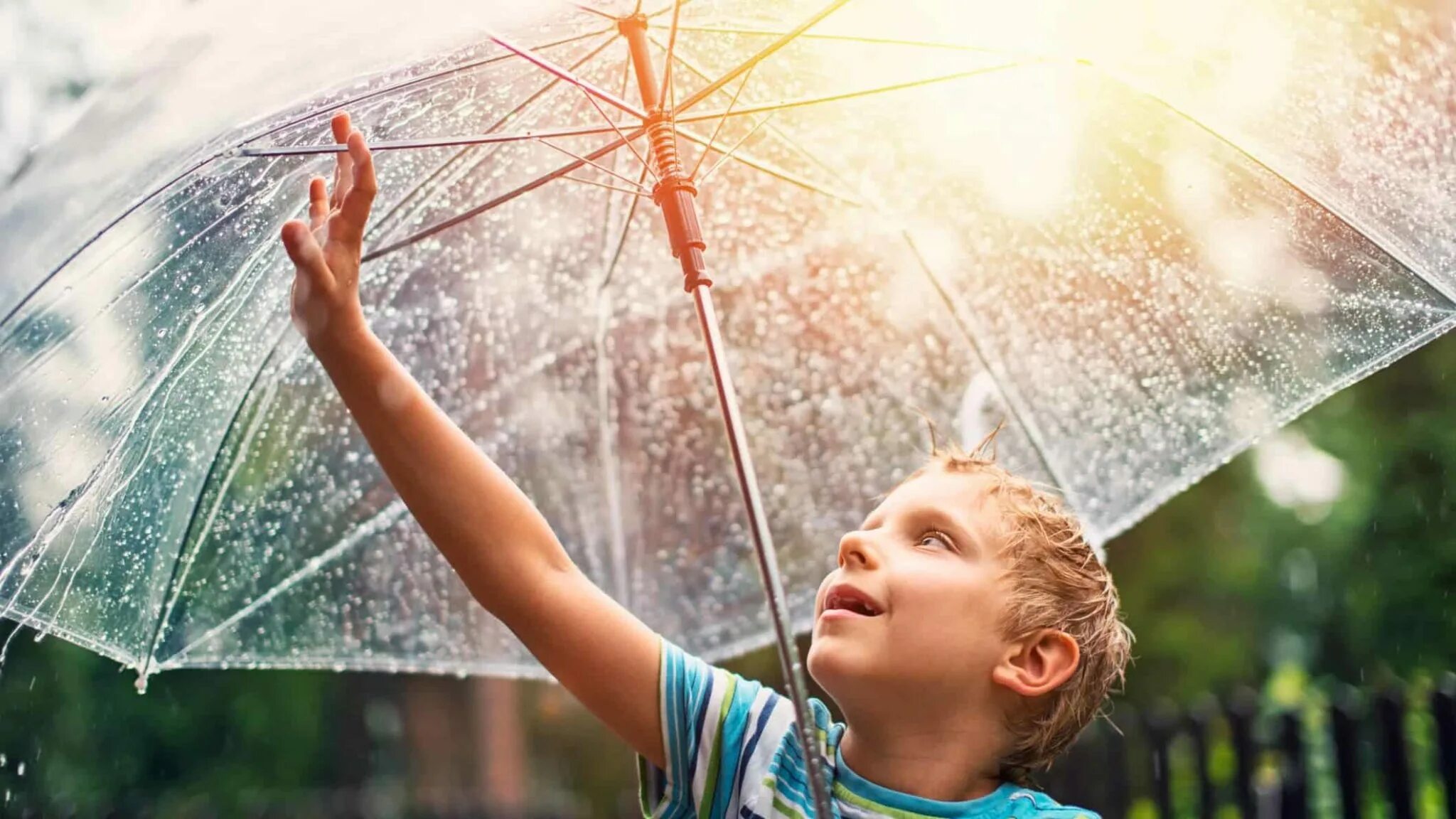 Мальчик с зонтиком. Дети солнца и дождя. Под прозрачным зонтом. Жара зонтик.