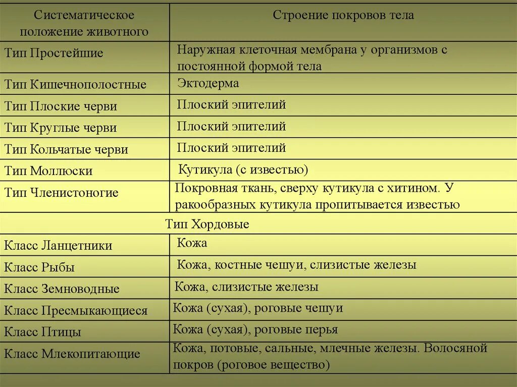 Покровы тела животных 8 класс биология таблица