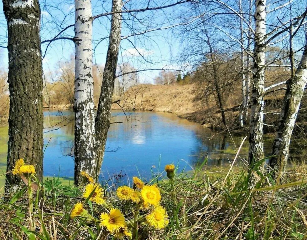 Весенний пейзаж. Природа весной.