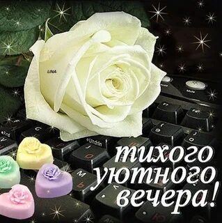 Добрый вечер мамочка