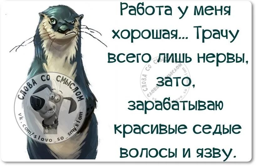 Афоризмы про нервную систему. Прикольные высказывания про нервы. Высказывания про нервную систему. Высказывание про нервную систему смешное. Нервы будет легче