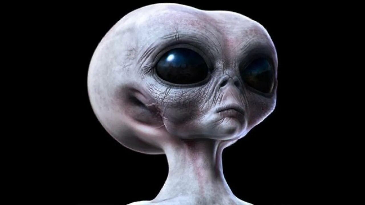 Билл хейдер пол секретный материальчик. Встреча с пришельцами. Пол: секретный материальчик стивен спилберг. Фильм где пришелец вылечил глаз девушке. Фильм где пришелец вылечил глаз девушке.