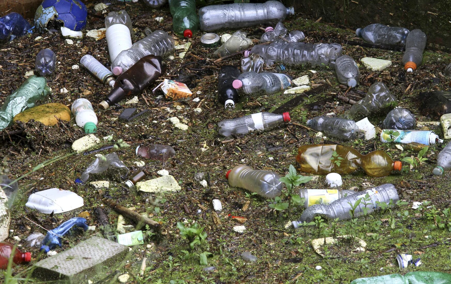 Пластиковые бутылки в лесу. Пластиковые бутылки в природе. Социальная реклама примеры экология. Пластиковая бутылка на земле. Разбросанные бутылки.