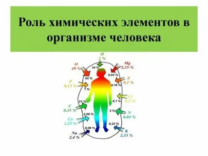 Р роль в организме