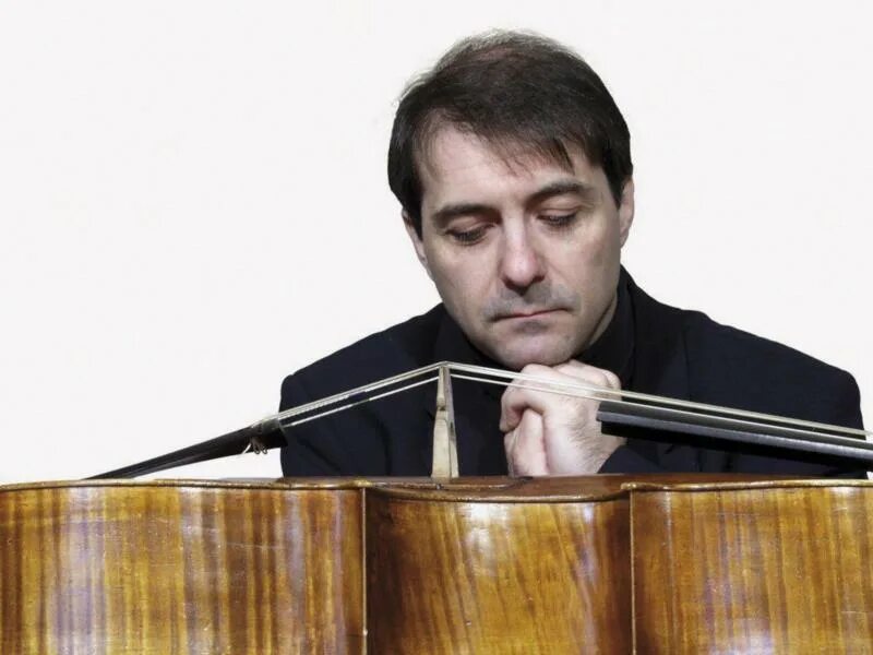 Viola jur yerevan. Veolia логотип. Viola jur yerevan. Музыкальный инструмент похожий на скрипку. Скрипач ютуб.