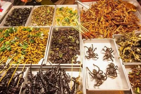 Каких насекомых едят
