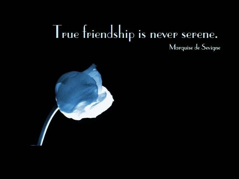 Marquise Serenity. Never a friend. Short quotes. True friendship