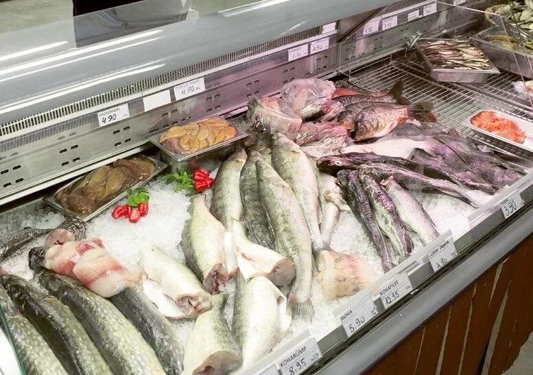 Морская рыба и морепродукты. Выкладка рыбы. Морская рыба на прилавках магазина. Морская рыба в магазинах. Рыба магазинная.