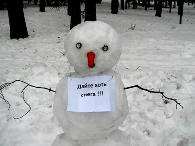 давай снежную. снеговик юмор. тимаиз зимой. кто просил снега картонк. снежная даль.