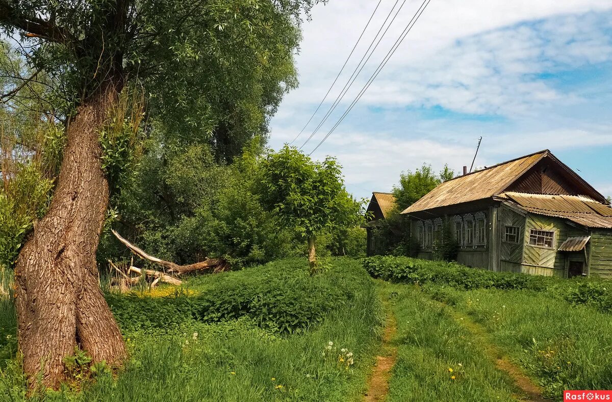позарастали стежки дорожки где проходили милого. позарастали стежки дорожки где проходили милого. позарастали стежки дорожки. позарастали стежки дорожки твардовский. & позарасталистежеидорожки.