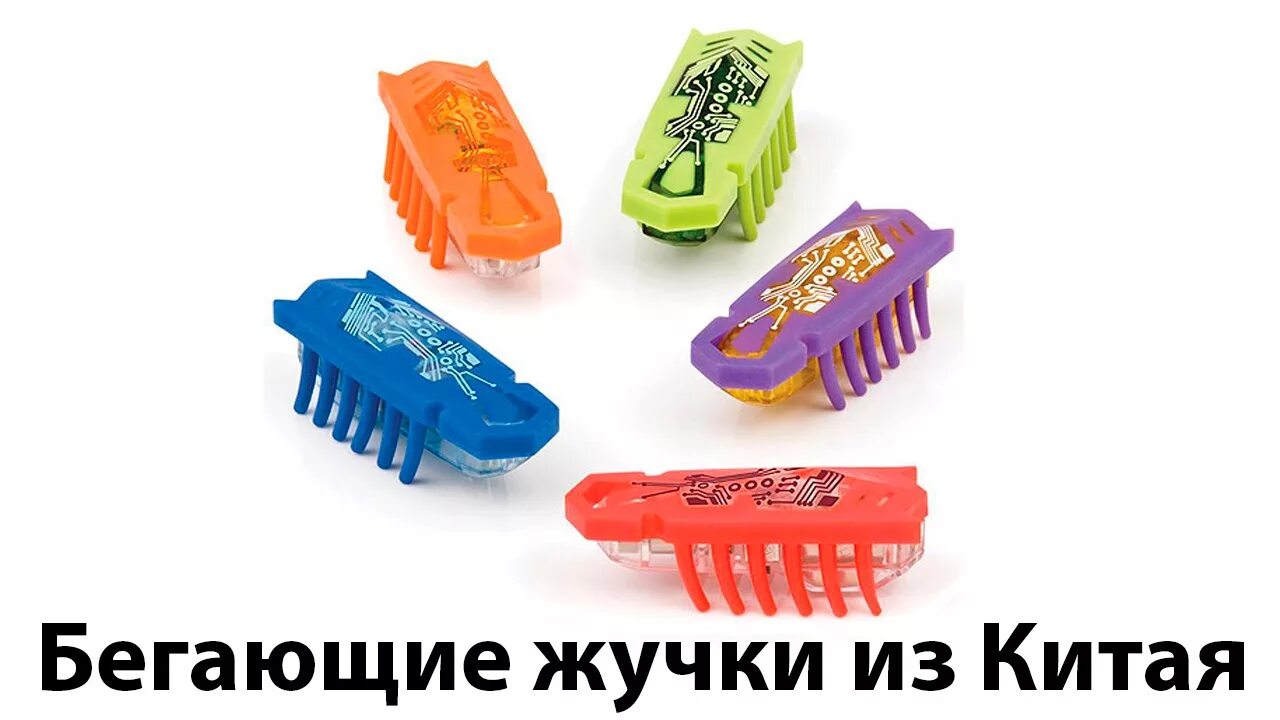 Отряд коллемболы. Блохи кровососущие насекомые. Бегающие жучки. Жук прусак. Бегающие жучки.